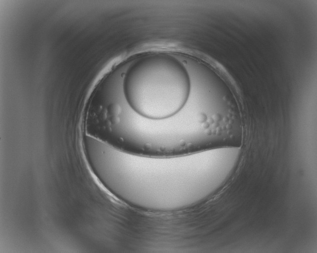 X0000081351432200701111054