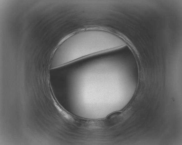 X0000081351433200701111054