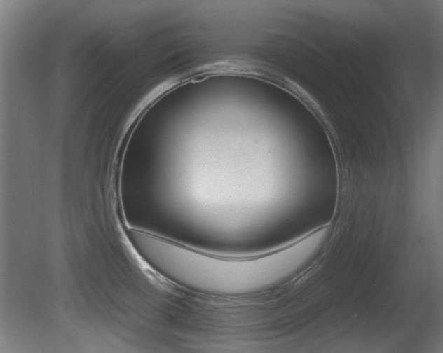 X0000081351434200701111054