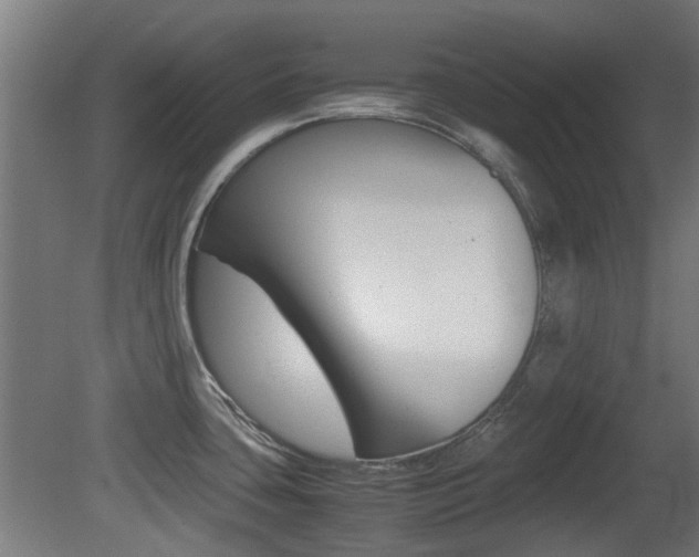 X0000081351435200701111054