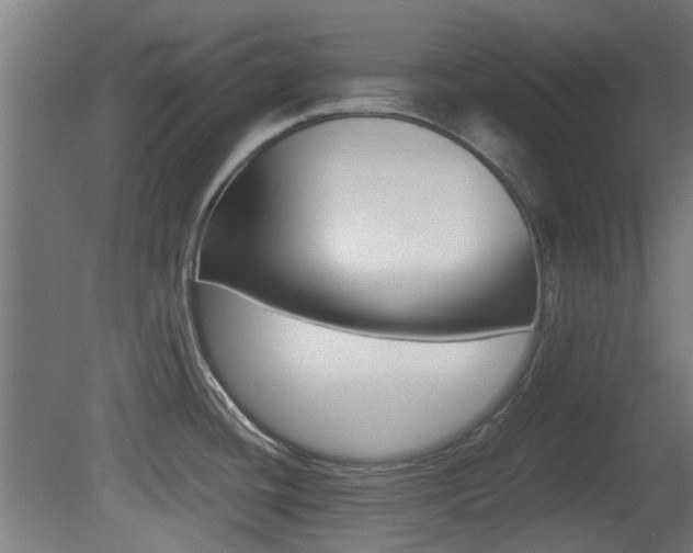 X0000081351436200701111054