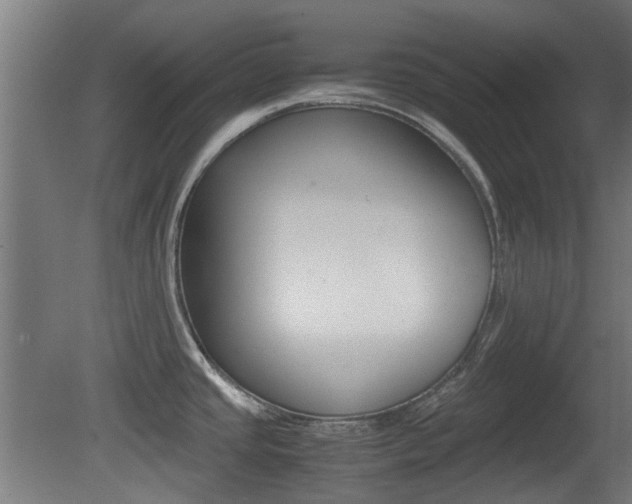 X0000081351437200701111054