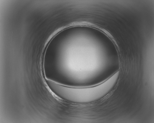 X0000081351438200701111054