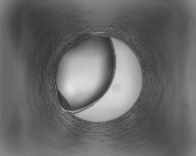 X0000081351441200701111053