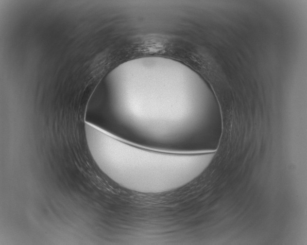 X0000081351442200701111053