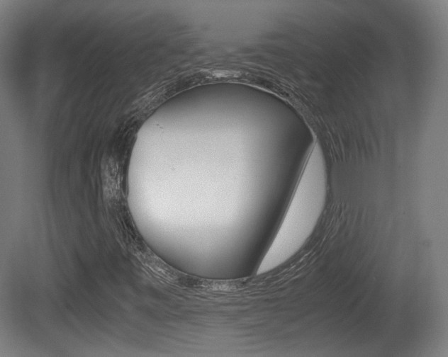 X0000081351443200701111053