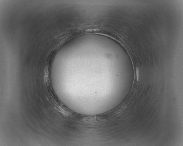 X0000081351444200701111053