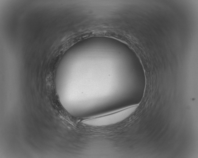 X0000081351445200701111053