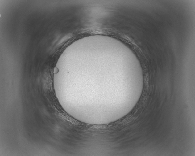 X0000081351446200701111053