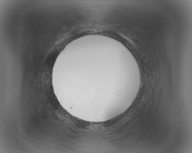 X0000081351447200701111053