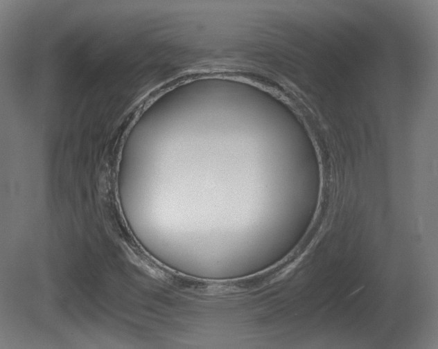 X0000081351449200701111053