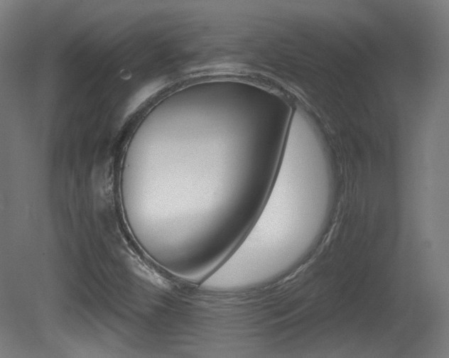 X0000081351450200701111053