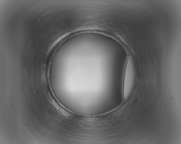 X0000081351452200701111053