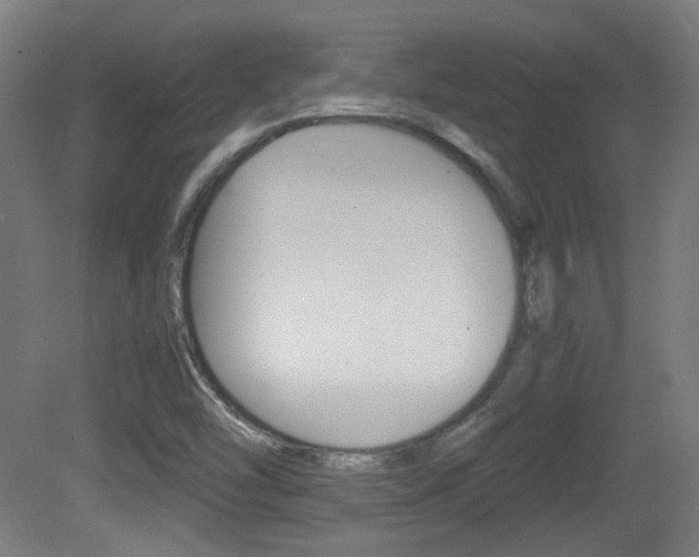 X0000081351454200701111053