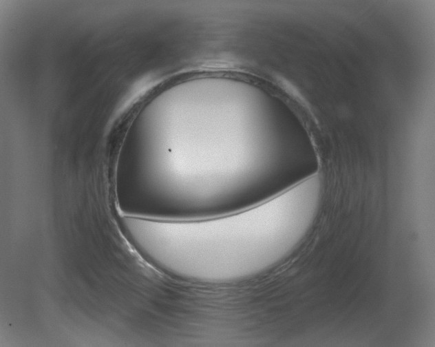 X0000081351456200701111053