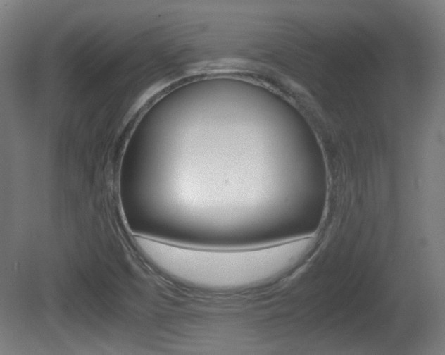 X0000081351457200701111053