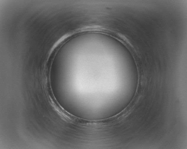 X0000081351458200701111053