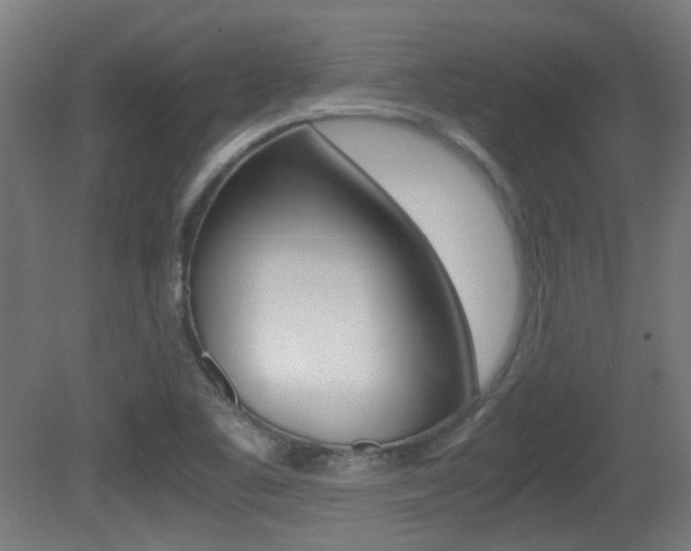 X0000081351461200701111053