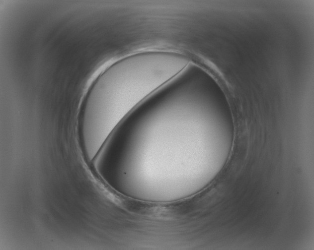 X0000081351463200701111053