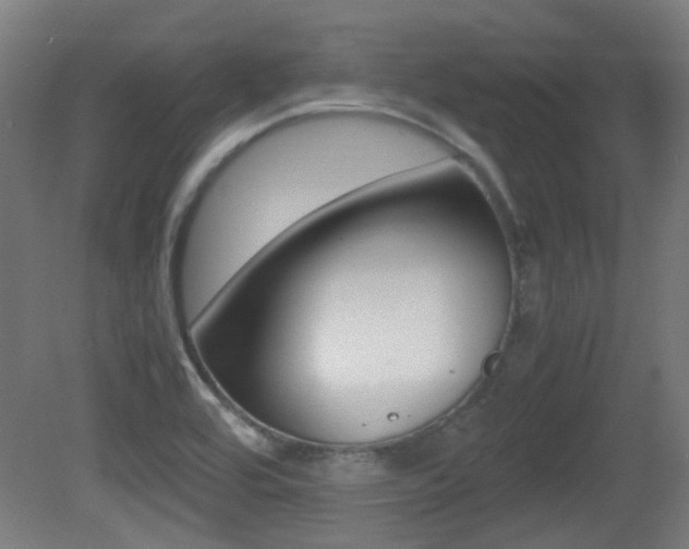 X0000081351464200701111053