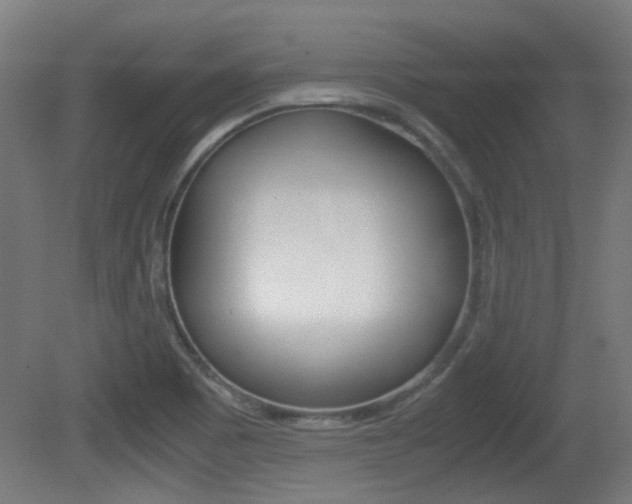 X0000081351465200701111053