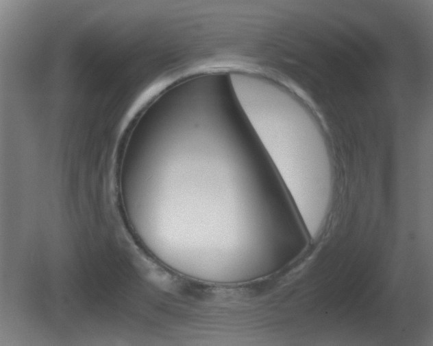 X0000081351469200701111053