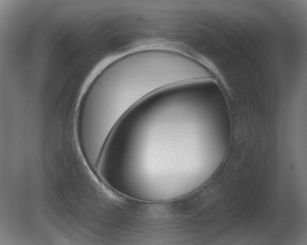 X0000081351472200701111053