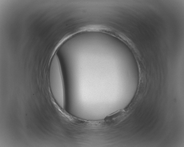 X0000081351473200701111053