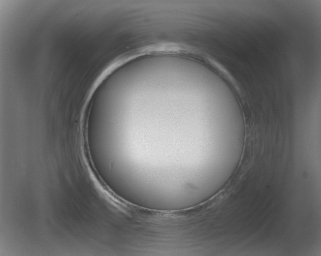 X0000081351475200701111053