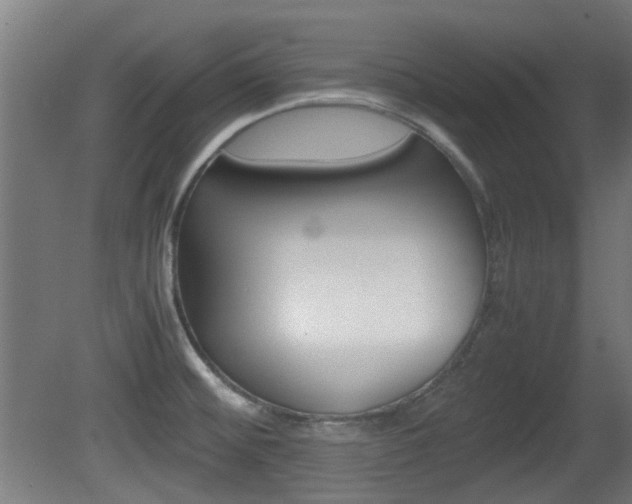 X0000081351476200701111053