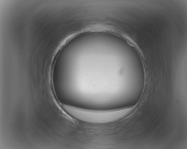 X0000081351477200701111053