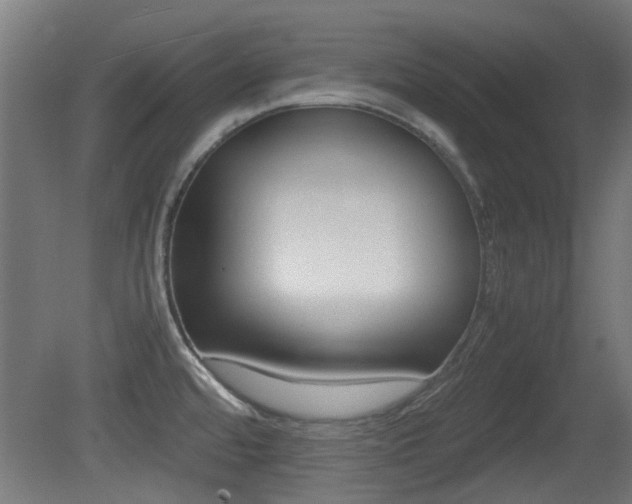 X0000081351480200701111053