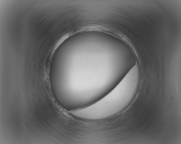 X0000081351481200701111053
