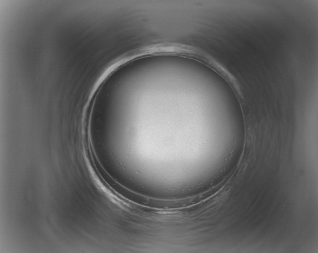 X0000081351483200701111053