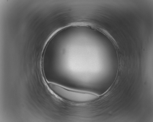 X0000081351484200701111053