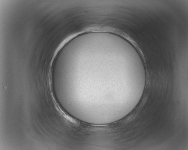 X0000081351486200701111053
