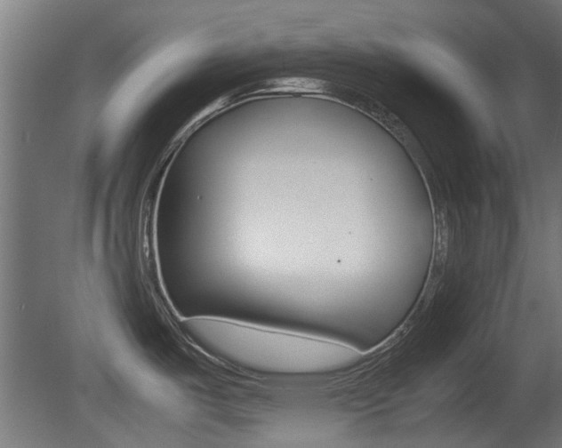 X0000081351487200701111053