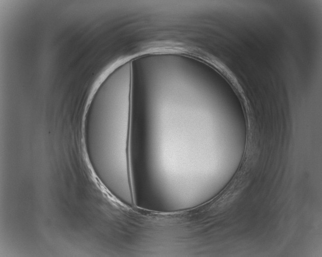 X0000081351488200701111053