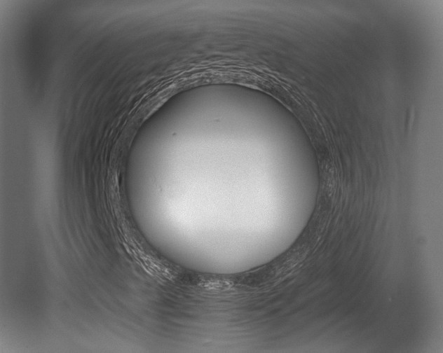X0000081351489200701111052