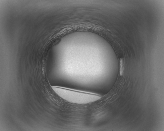 X0000081351491200701111052