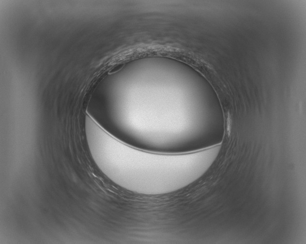 X0000081351492200701111052