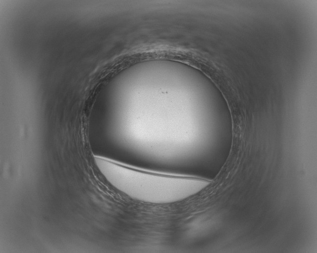 X0000081351493200701111052