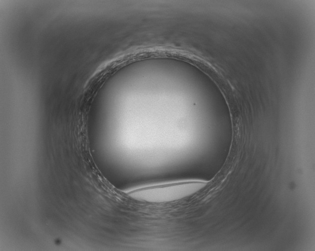 X0000081351494200701111052