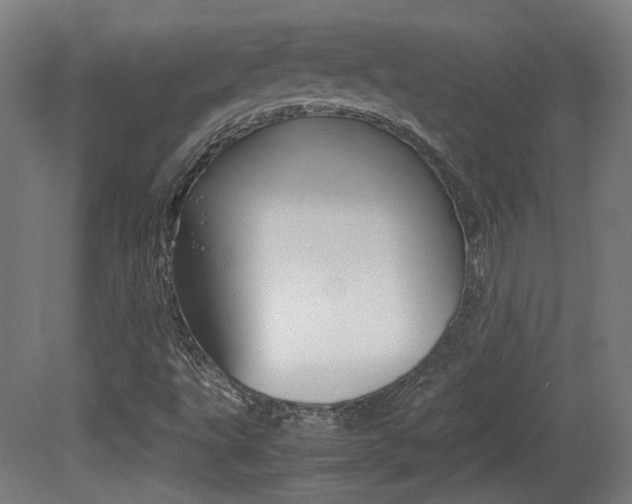 X0000081351495200701111052