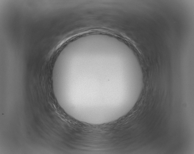 X0000081351496200701111052