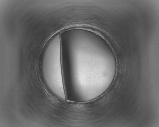 X0000081351497200701111052