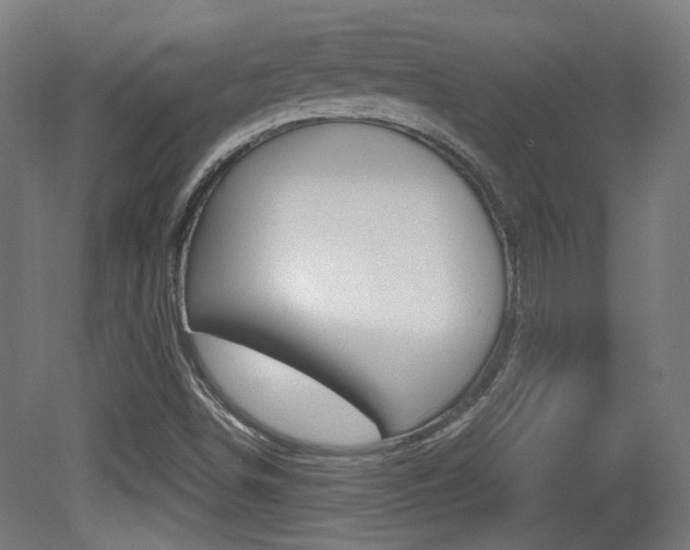 X0000081351498200701111052