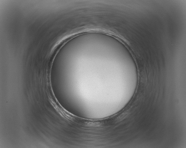 X0000081351499200701111052