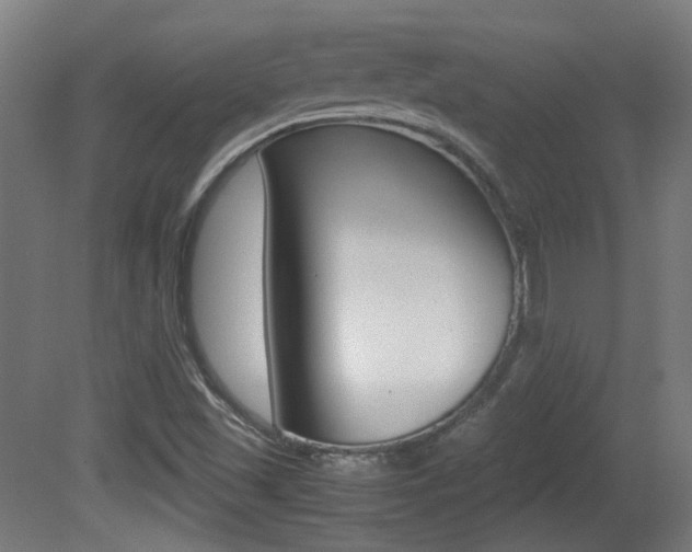 X0000081351501200701111052