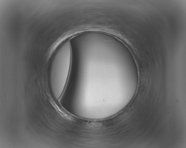 X0000081351503200701111052
